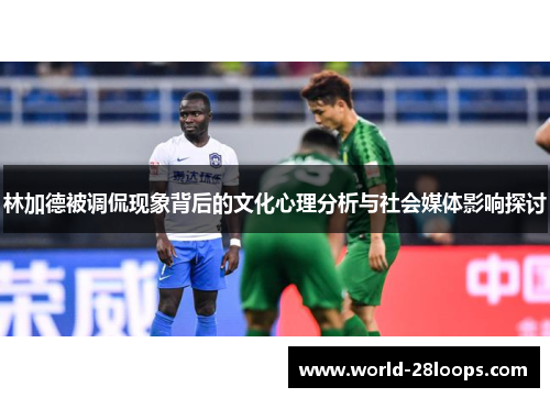 林加德被调侃现象背后的文化心理分析与社会媒体影响探讨