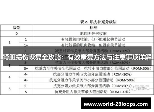 肾脏损伤恢复全攻略:有效康复方法与注意事项详解 肾脏损伤恢复全攻略:有效康复方法与注意事项详解