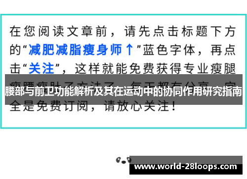 腰部与前卫功能解析及其在运动中的协同作用研究指南