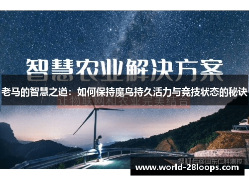 老马的智慧之道:如何保持魔鸟持久活力与竞技状态的秘诀 老马的智慧之道:如何保持魔鸟持久活力与竞技状态的秘诀