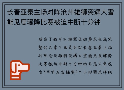 长春亚泰主场对阵沧州雄狮突遇大雪能见度骤降比赛被迫中断十分钟